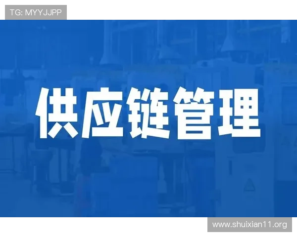 鼎丰国际物流：专业高效的全球供应链解决方案